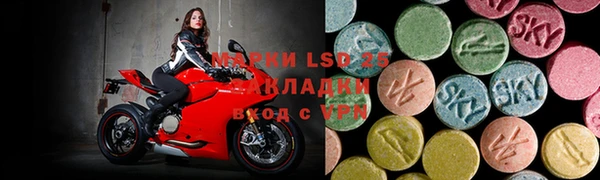 ГАЛЛЮЦИНОГЕННЫЕ ГРИБЫ Белокуриха