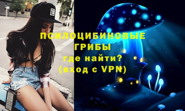 ГАЛЛЮЦИНОГЕННЫЕ ГРИБЫ Белокуриха