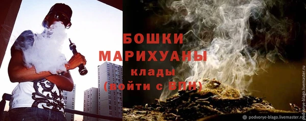 ГАЛЛЮЦИНОГЕННЫЕ ГРИБЫ Белокуриха