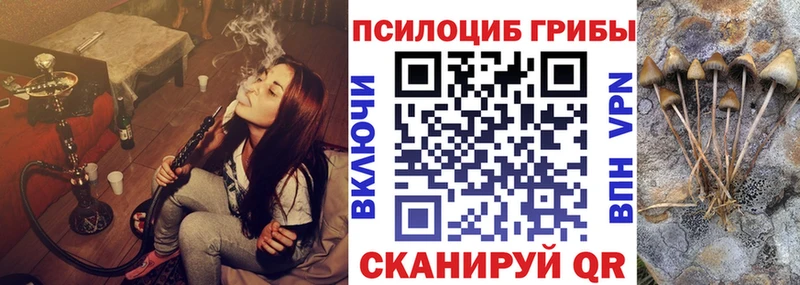 Галлюциногенные грибы мицелий  Данков 